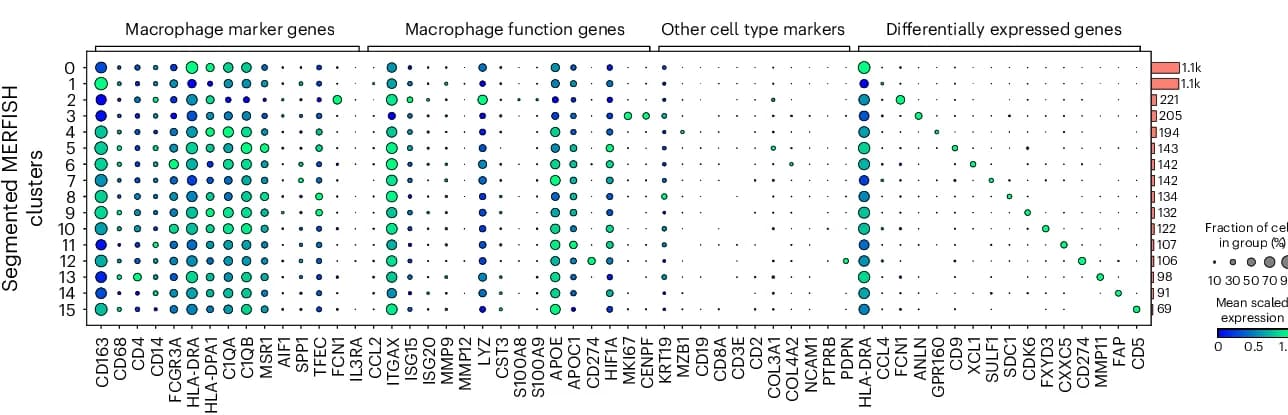 Open access visualization of Bubble Plot, Bar Plot, Dot Plot, Expression, Macrophages