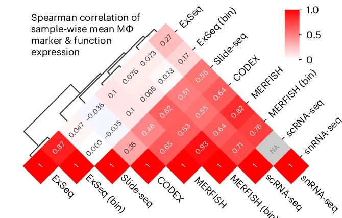 Open access visualization of Heatmap, Clustered, Clustered Heatmap, Spearman Correlation, Macrophages