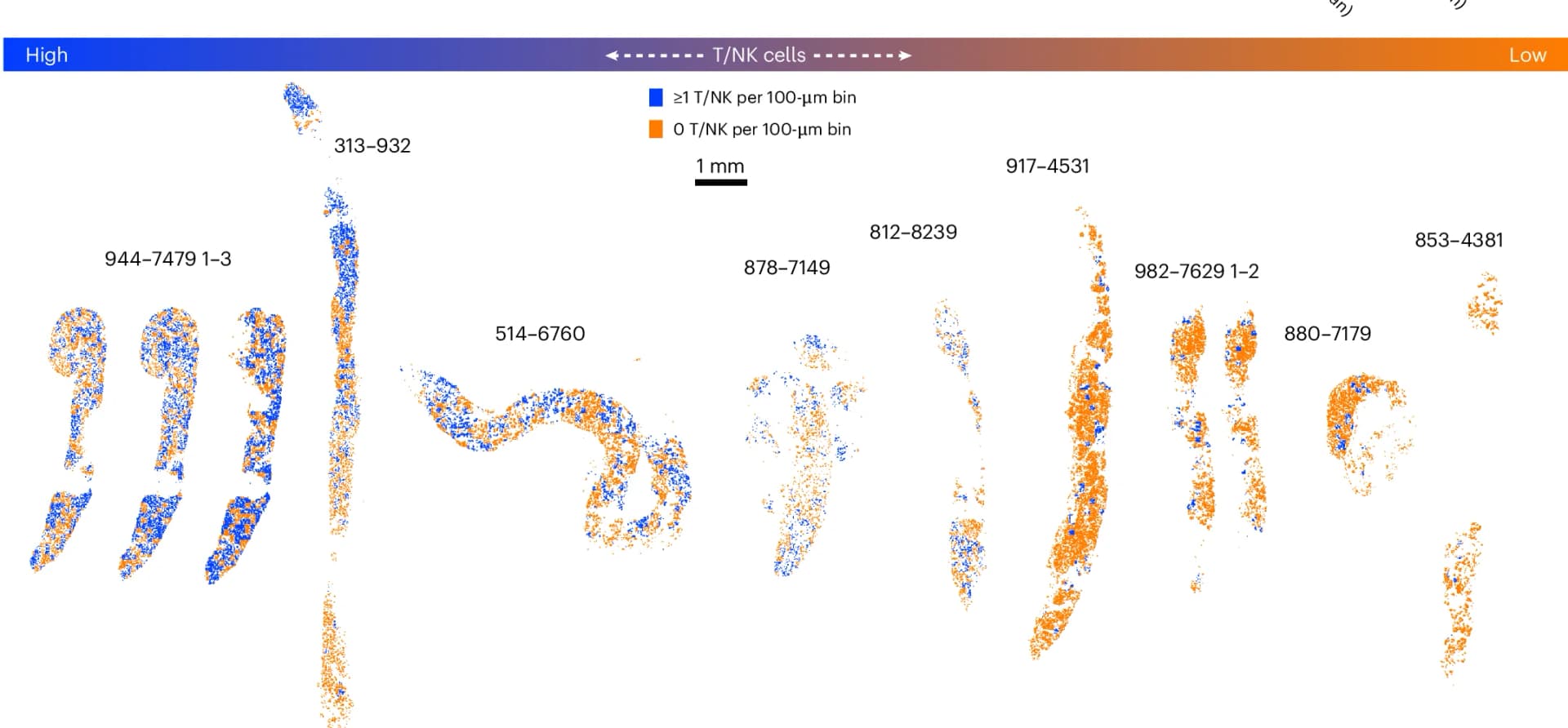 Open access visualization of Scatter Plot, Spatial Scatter Plots, Malignant Cells, MERFISH, T/NK Cells