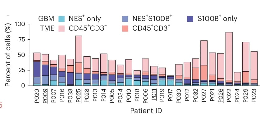 Open access visualization of Stacked Bar Plot, Cellular Composition, Glioblastoma, Cohort, PCY