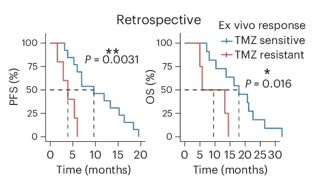 Open access visualization of Line Step, Survival Curve, PFS, OS, Retrospective Cohort