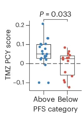 Open access visualization of Box Plot, Scatter Plot, TMZ PCY Scores, PFS, Chemoradiotherapy