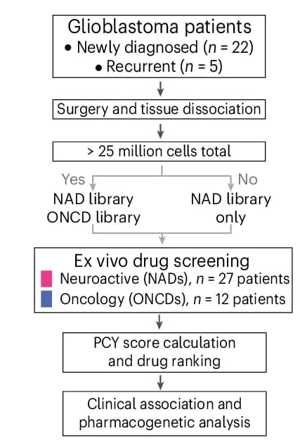 Open access visualization of Workflow, Flowchart, PCY, Neuroactive Drug, Oncological Drug