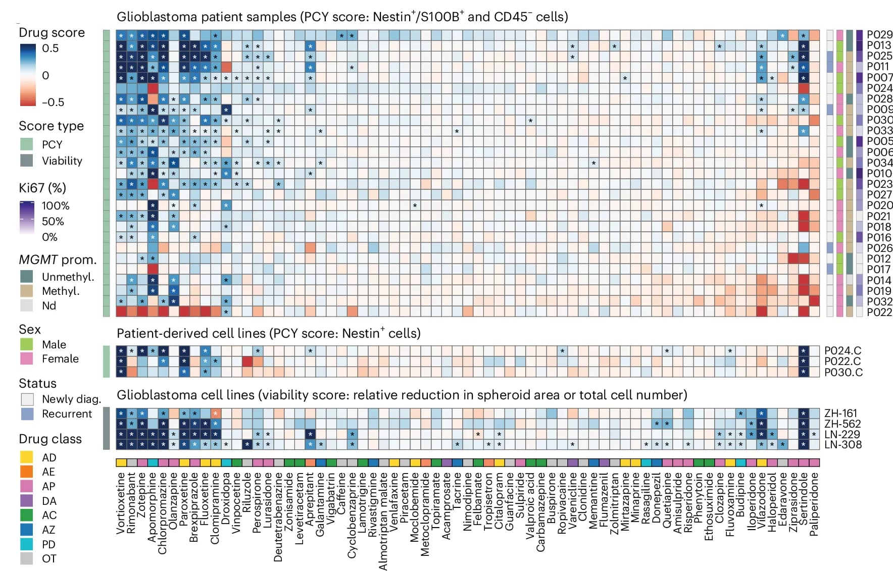 Open access visualization of Heatmap, NAD Score Matrix, Patient Samples, PDC Lines, Glioblastoma Cell Lines