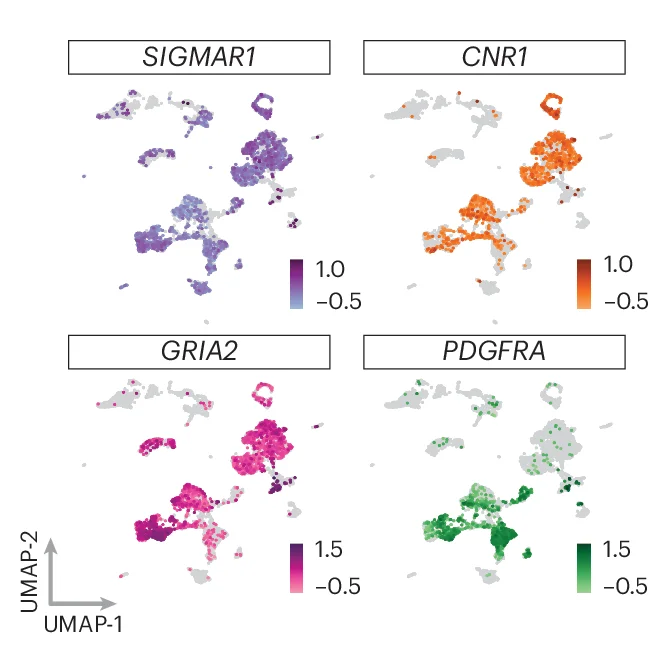 Open access visualization of UMAP, Scatter Plot, scRNA-seq, PTGs, SIGMAR1