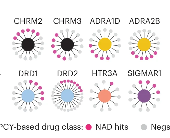 Open access visualization of Network, PTGs, Genetic Dependencies, PCY-hit Drugs, PCY-negative Drugs