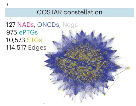 Open access visualization of Network, Pathway, COSTAR Network, PCY-tested Drugs, ePTGs