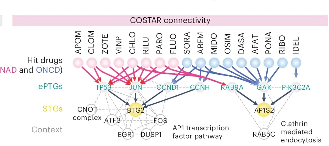 Open access visualization of Pathway, COSTAR Connectivity, NAD, ONCD, ePTGs