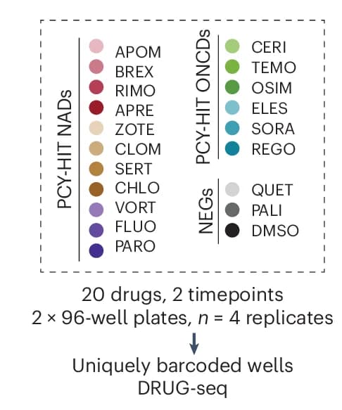 Open access visualization of Scatter Plot, DRUG-seq, LN-229 Cells, Drug Treatment