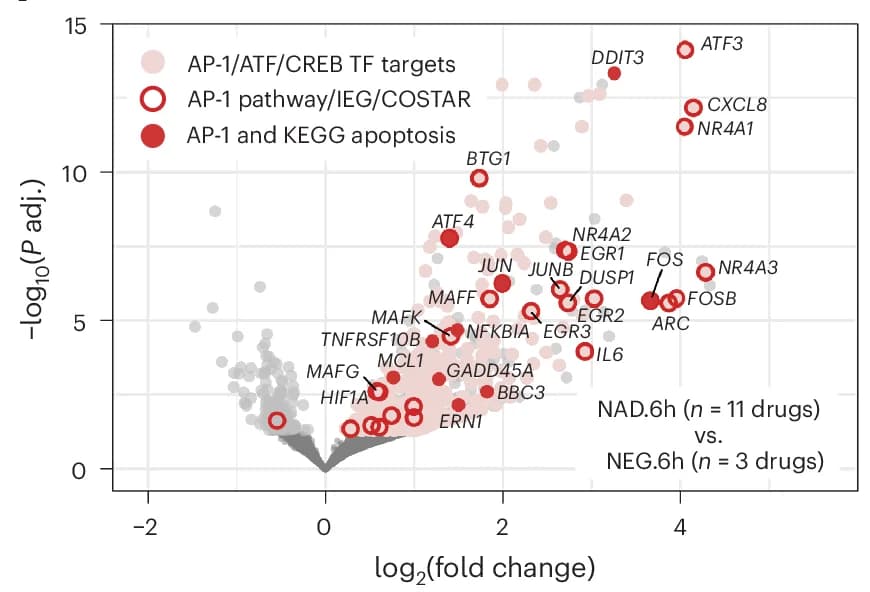 Open access visualization of Volcano Plot, Scatter Plot, Transcriptional Response, PCY-hit NAD-treated Cells, NEG-treated Cells