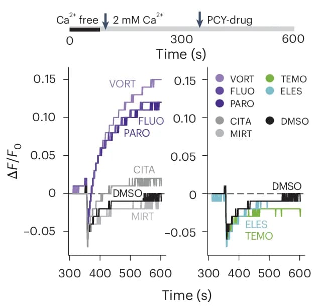 Open access visualization of Line Step, Calcium Response, LN-229 Cells, Drug Treatment, FLIPR Assay