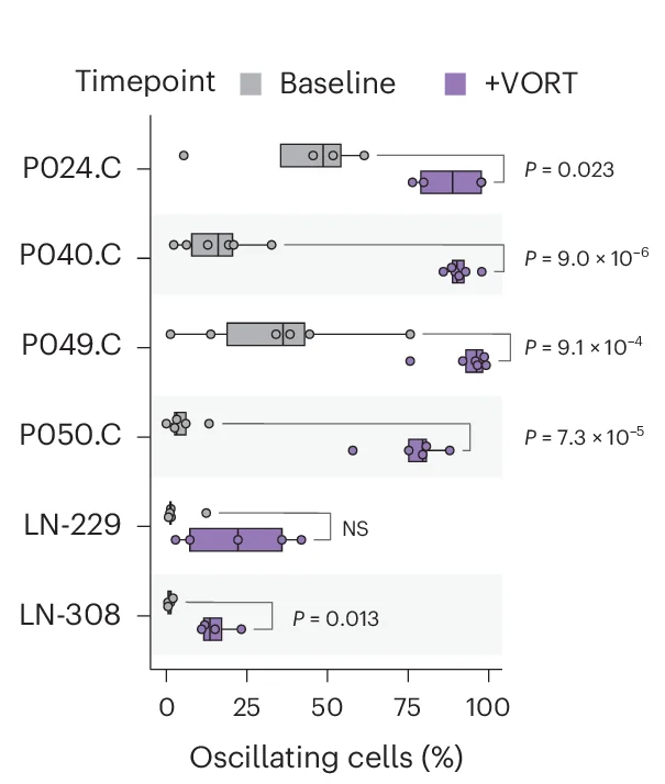 Open access visualization of Box Plot, Scatter Plot, Calcium Oscillations, VORT Treatment, Cell Lines