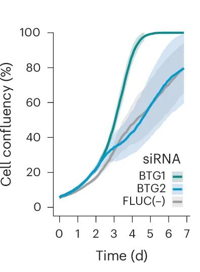 Open access visualization of Line Plot, Error Bars, LN-229 Confluency, Live-Cell Imaging, Gene Knockdown