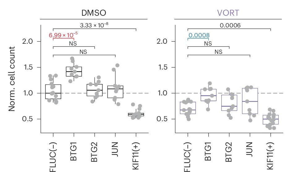 Open access visualization of Box Plot, Scatter Plot, LN-229 Cell Counts, Gene Knockdown, Vortioxetine Treatment