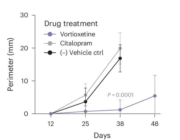 Open access visualization of Line Plot, Error Bars, Tumor Perimeters, Drug-Treated Mice, Tumor Implantation