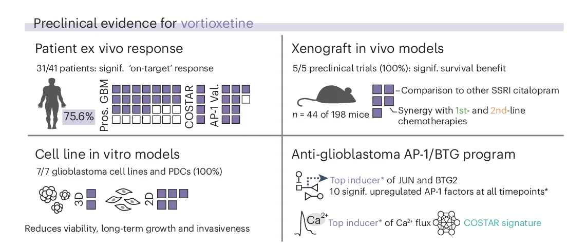 Open access visualization of Illustration, Workflow, Preclinical Evidence, NAD VORT, AP-1 Validation