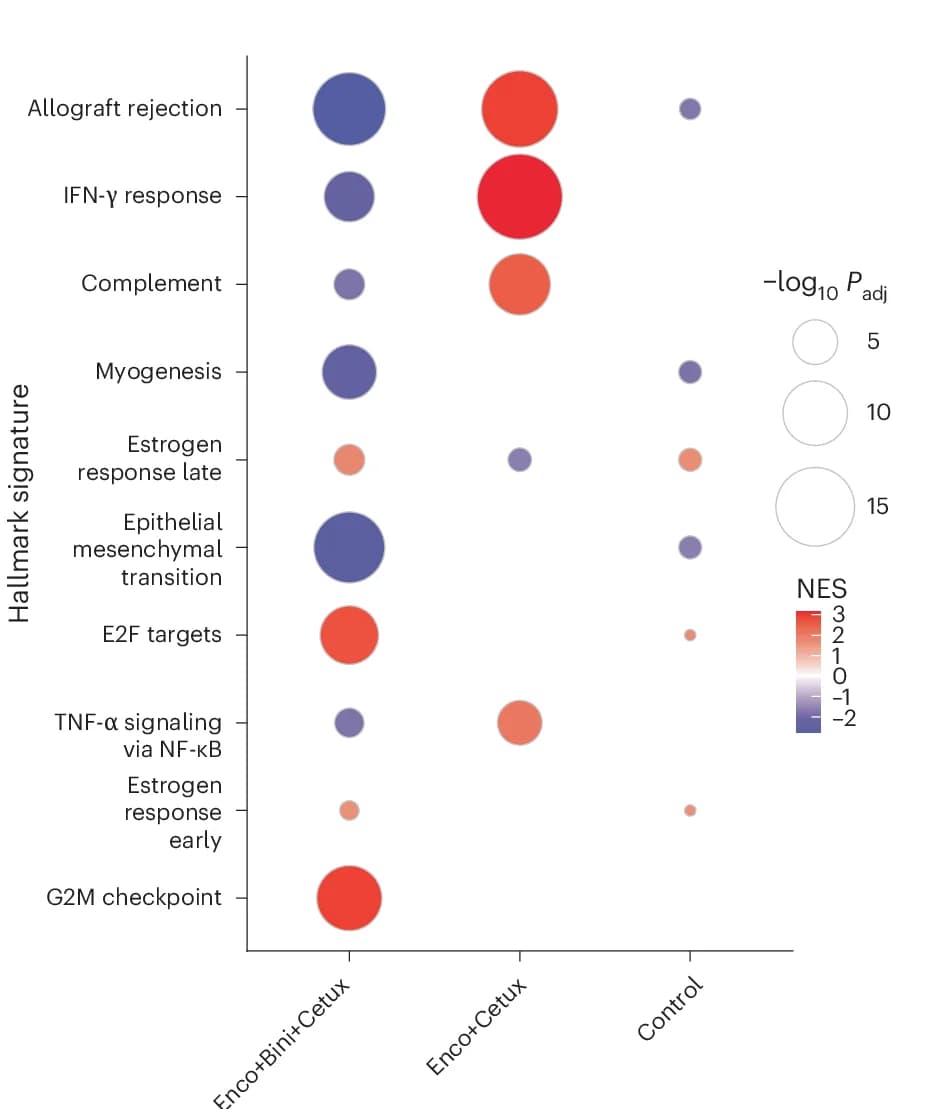 Open access visualization of Bubble Plot, GSEA Hallmark Genesets, Normalized Enrichment Score, Permutation Testing