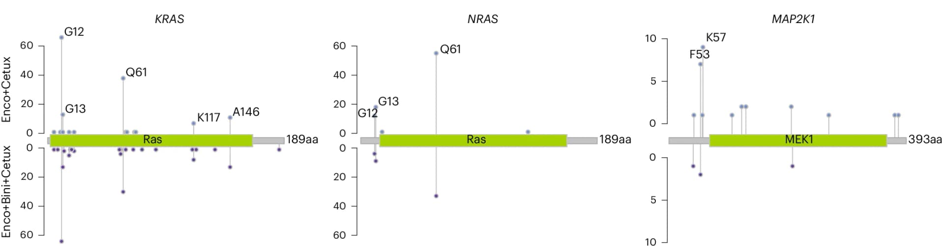 Open access visualization of Scatter Plot, Mutational Landscape, KRAS, NRAS, MAP2K1