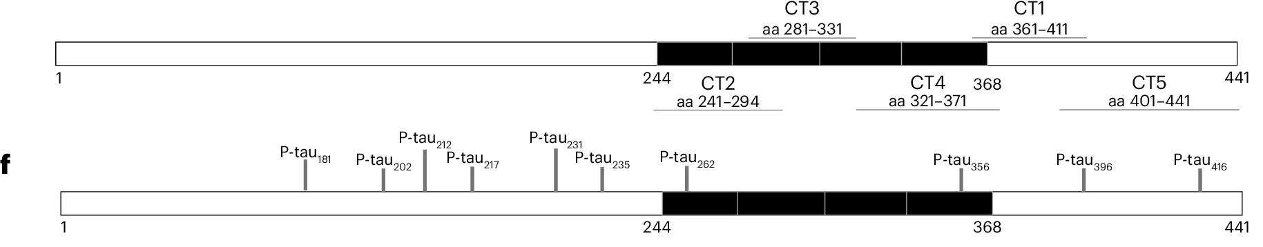 Open access visualization of Illustration, Epitopes, CT mAbs, MTBR, Monoclonal Antibodies