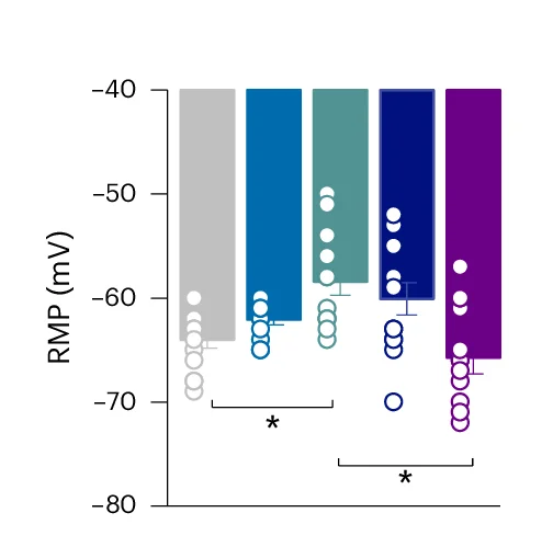 Open access visualization of Bar Plot, Error Bars, Scatter Plot, STA Core Peptide, RMP