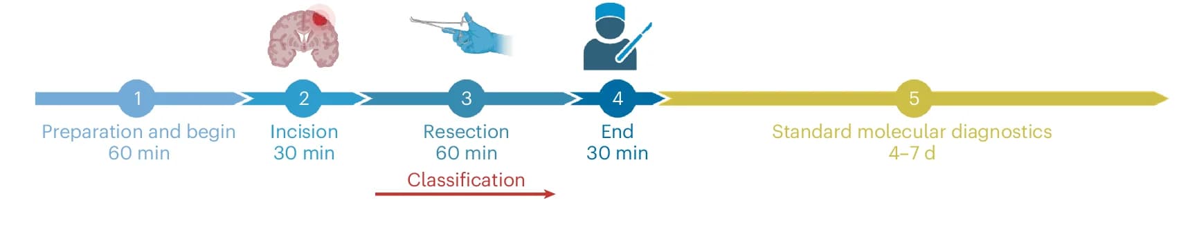 Open access visualization of Workflow, Illustration, Brain Surgery, Anesthesia, Tumor Resection