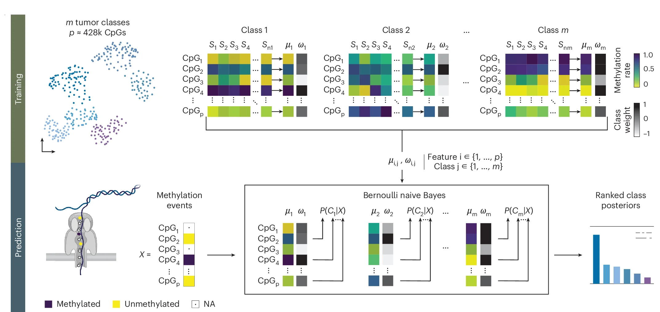 Open access visualization of Scatter Plot, Heatmap, Illustration, Bar Plot, Naive Bayes Algorithm