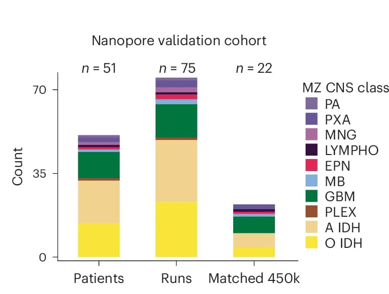 Open access visualization of Stacked Bar Plot, Nanopore, Methylation Array, CNS Cancer, Tumor Biopsies