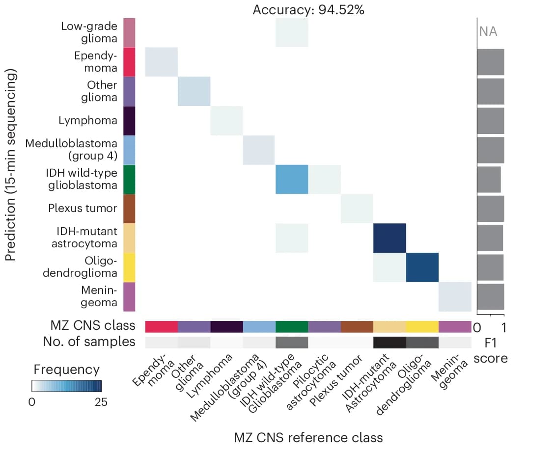 Open access visualization of Heatmap, Bar Plot, Confusion Matrix, Nanopore Samples, CpGs