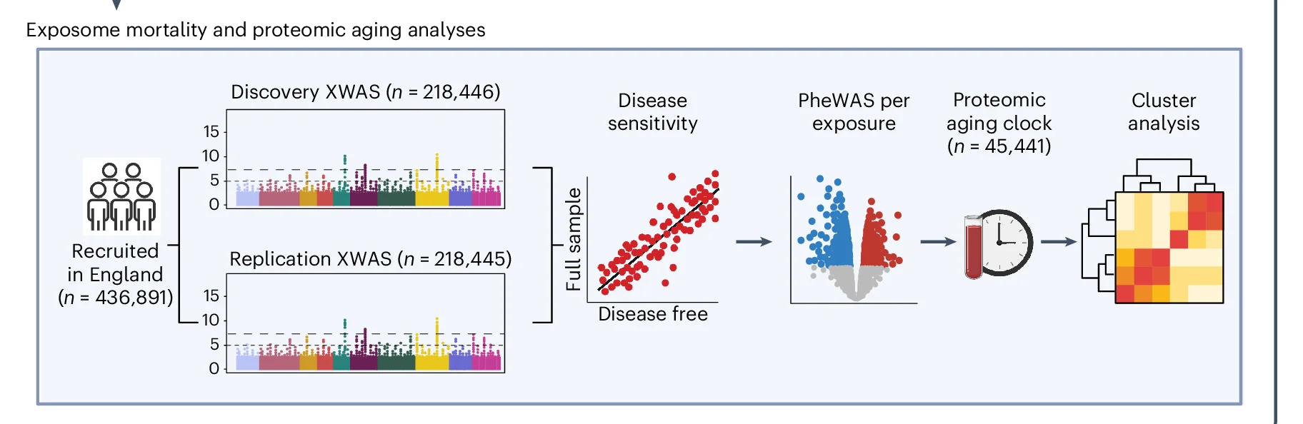 Open access visualization of Workflow, Bar Plot, Scatter Plot, Regression Plot, Heatmap