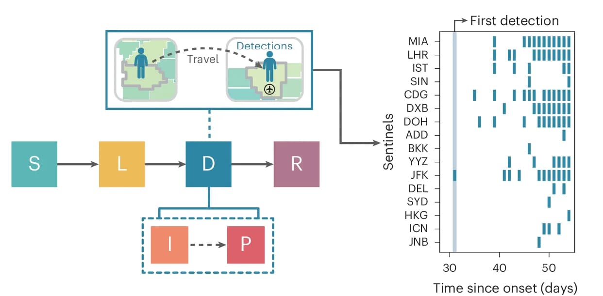 Open access visualization of Bar Plot, Workflow, SLDR Model, Detection Time Series, Sentinel Airports