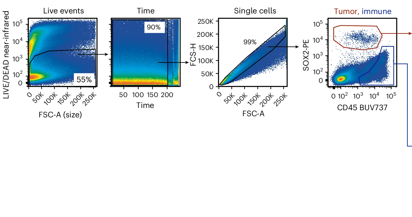 Open access visualization of Scatter Plot, Tumor Dissociates, Viability Gate, Time Gate, Singlet Gate