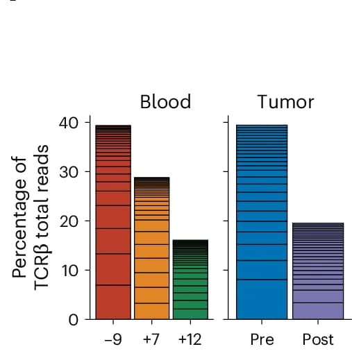Open access visualization of Bar Plot, TCR clone size, TCR clonotypes, Clonotype, Reads
