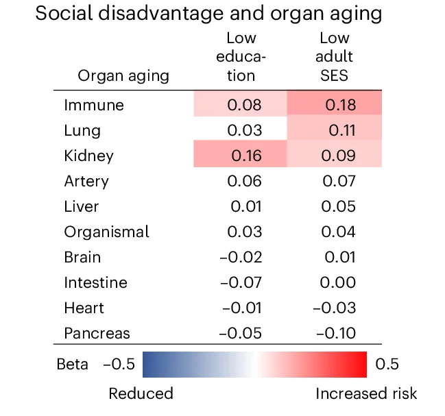 Open access visualization of Heatmap, Heat Map, Multinomial Logistic Regression, Social Disadvantage, Protein Signatures