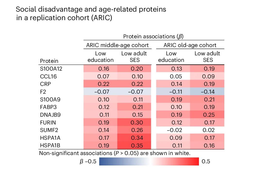 Open access visualization of Heatmap, Cumulative Logistic Regression, Proteins, ARIC Study, Social Disadvantage