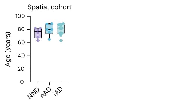 Open access visualization of Box Plot, Scatter Plot, Study Demographics, Patient Age