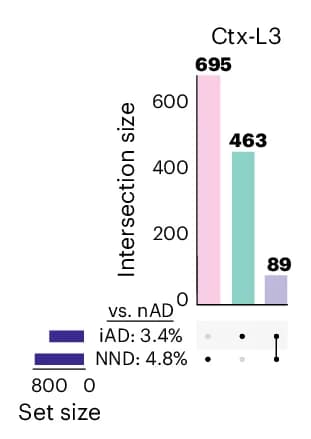 Open access visualization of Bar Plot, UpSet, UpSet Plot, Unique DEGs, Shared DEGs