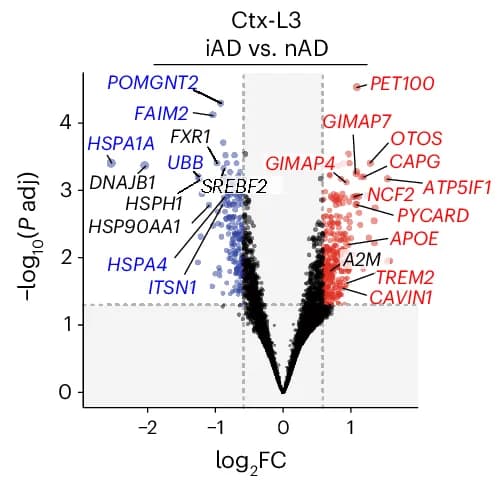 Open access visualization of Scatter Plot, Regression Plot, DEGs, Cortical Layer III, iAD