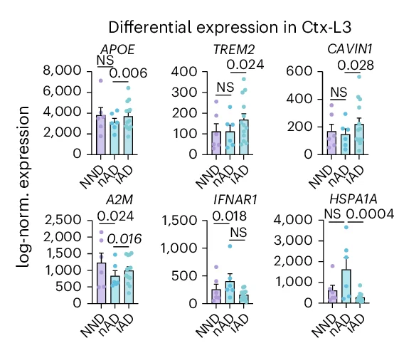 Open access visualization of Bar Plot, Error Bars, Scatter Plot, Pseudobulked Expression, Microglia