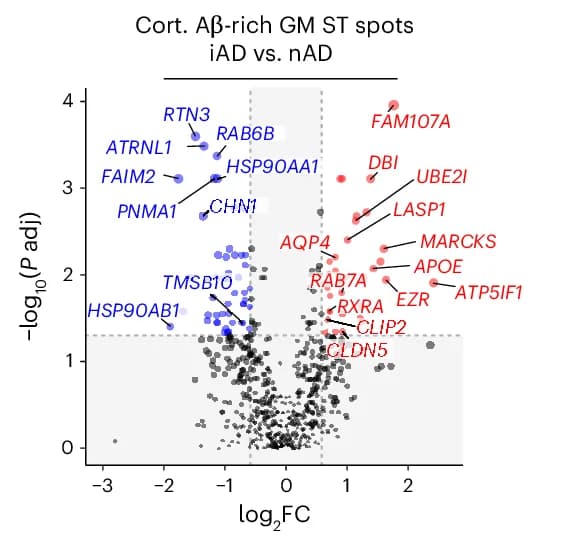 Open access visualization of Scatter Plot, Regression Plot, DEGs, Aβ-Rich, Gray Matter