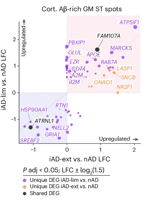 Open access visualization of Scatter Plot, LFC Plots, Aβ-Rich, ST Spots, Gray Matter