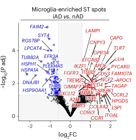 Open access visualization of Scatter Plot, Regression Plot, DEGs, Microglia, Enriched ST Spots