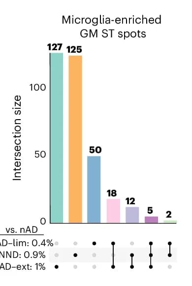 Open access visualization of Bar Plot, UpSet, UpSet Plot, DEGs, Microglia