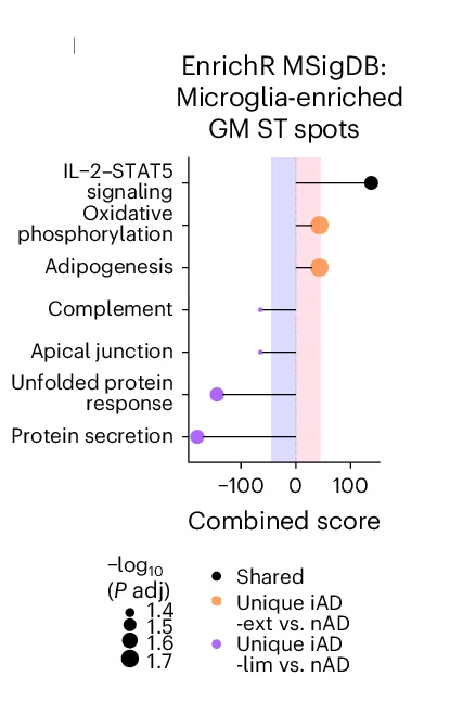 Open access visualization of Scatter Plot, Error Bars, Pathway Enrichment Analysis, DEGs, Microglia