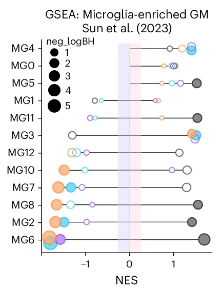 Open access visualization of Scatter Plot, Bubble Plot, Pathway Enrichment Analysis, Microglial States, PFC