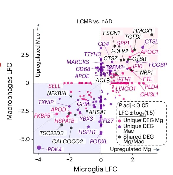 Open access visualization of Scatter Plot, Regression Plot, LFC Plots, DEGs, Microglia