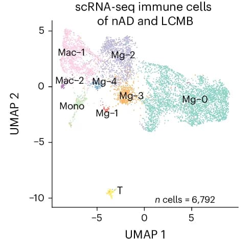 Open access visualization of Scatter Plot, UMAP, Microglia Clustering, scRNA-seq, Lecanemab
