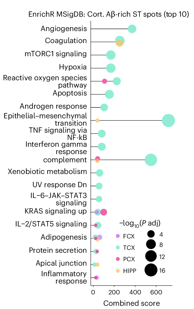 Open access visualization of Scatter Plot, Bubble Plot, Pathway Enrichment Analysis, Differentially Expressed Genes, Amyloid beta