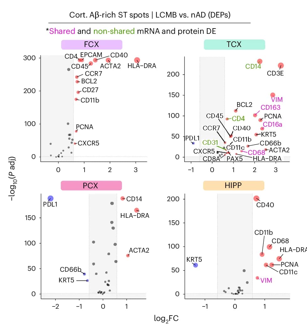 Open access visualization of Scatter Plot, Regression Plot, Differentially Expressed Proteins, Cortical Amyloid beta, Spatial Transcriptomics