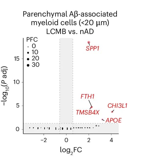 Open access visualization of Scatter Plot, DEGs, Myeloid Nuclei, A Plaques, Lecanemab