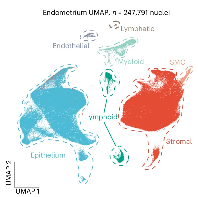 Open access visualization of UMAP, Scatter Plot, Network, UMAP Projections, snRNA-seq